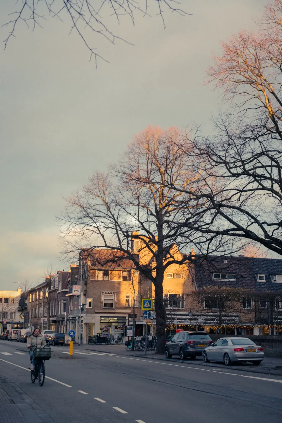 Voorburg的冬日街道