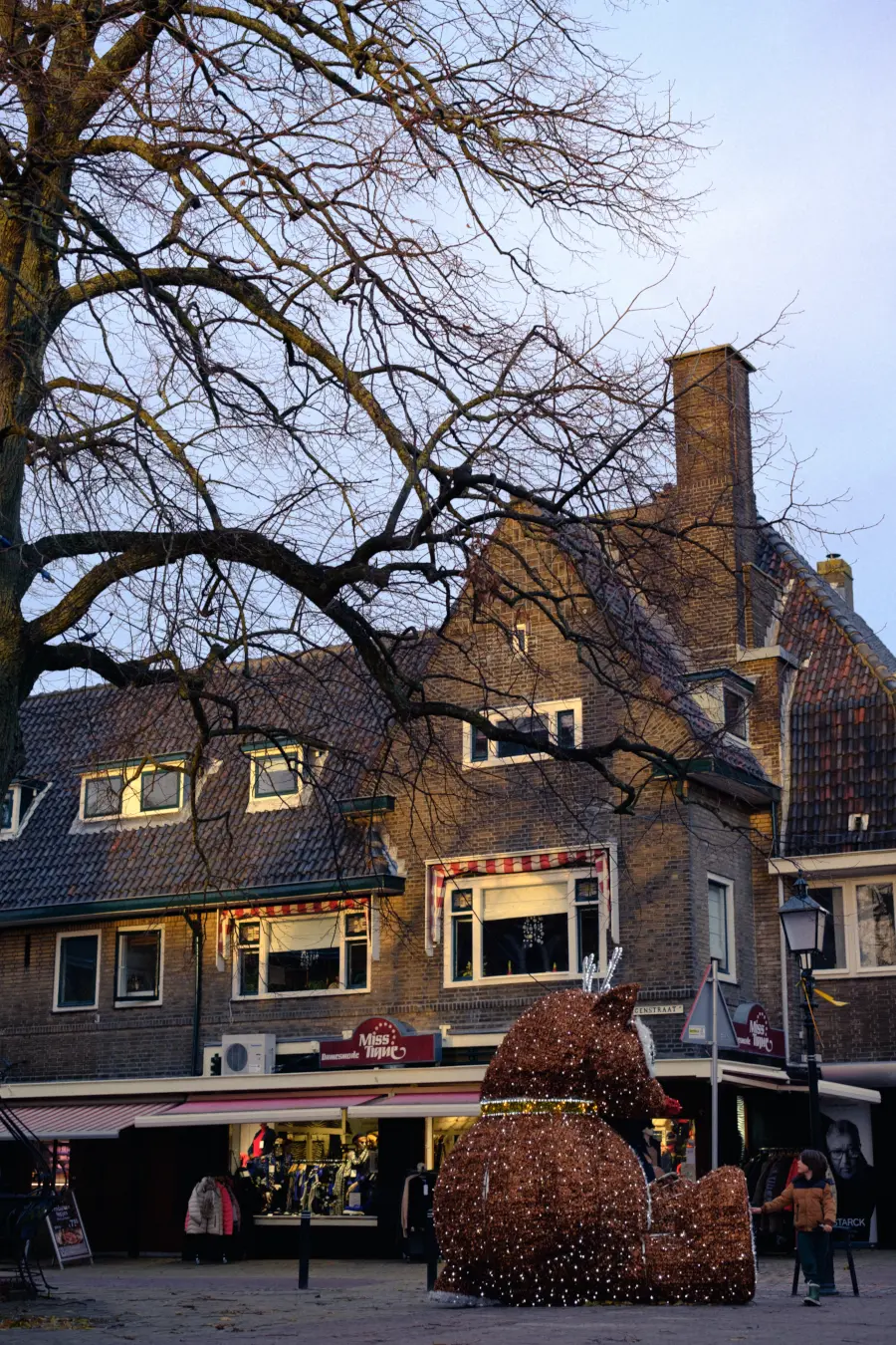 Huygenskwartier市场内的圣诞外景