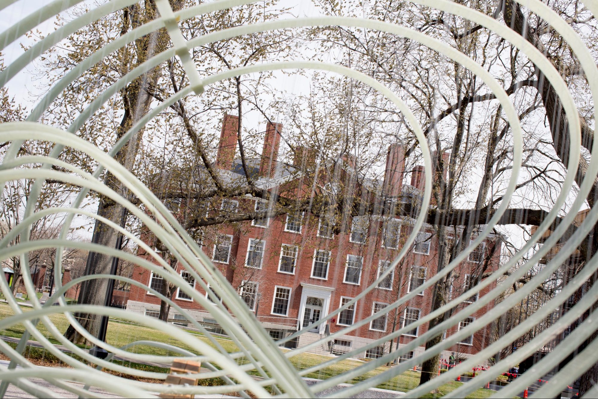 哈佛大学校内Garden